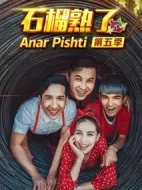 石榴熟了第五季