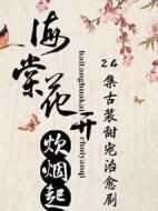 海棠花開炊煙起劇情介紹(1-24全集)