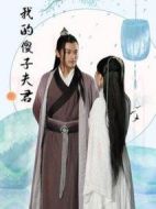 我的傻子夫君劇情介紹(1-23全集)