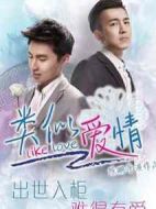 類似愛情第一季海報