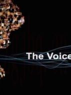 BBC-教授揭秘聲音之謎劇情介紹(1-1全集)