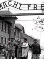 逃難集中營劇情介紹(1-1全集)