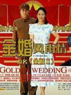 金婚·風(fēng)雨情劇情介紹(1-51全集)