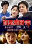 命運的春天劇情介紹(1-25全集)