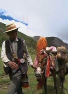 KBS：茶馬古道劇情介紹(1-6全集)