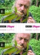 BBC：比爾·貝利的叢林英雄劇情介紹(1-2全集)