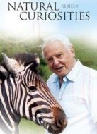 BBC:大衛(wèi)·愛登堡的自然珍品劇情介紹(1-5全集)