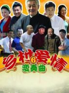 鄉(xiāng)村愛情變奏曲