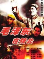 毛澤東在陜北劇情介紹(1-10全集)