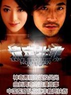 情定北非劇情介紹(1-20全集)