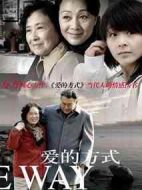 愛的方式劇情介紹(1-27全集)