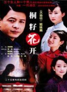 桐籽花開(kāi)劇情介紹(1-25全集)