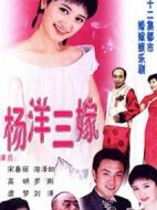 楊洋三嫁劇情介紹(1-22全集)