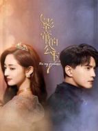 從離婚開(kāi)始的愛(ài)情