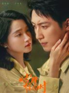 歲月有情時(shí)海報(bào)