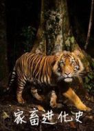 家畜進(jìn)化史劇情介紹(1-2全集)