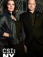 犯罪現(xiàn)場調(diào)查：紐約第九季