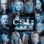 犯罪現(xiàn)場調(diào)查第十三季海報