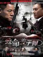 致命的子彈劇情介紹(1-20全集)