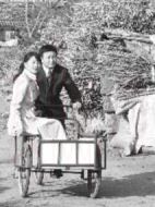 新紅男綠女-壞小子劇情介紹(1-40全集)