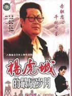 楊虎城的最后歲月劇情介紹(1-8全集)