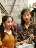 小巷總理劇情介紹(1-20全集)