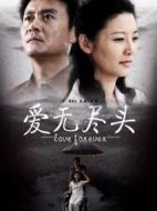 愛(ài)無(wú)盡頭劇情介紹(1-21全集)