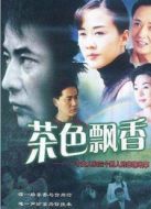 茶色飄香劇情介紹(1-18全集)