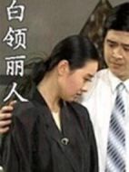 白領(lǐng)麗人劇情介紹(1-20全集)