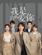 一不小心賴上你劇情介紹(1-17全集)