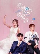 我去過你的未來