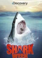 鯊魚周劇情介紹(1-6全集)