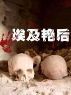 埃及艷后消失的墳?zāi)箘∏榻榻B(1-1全集)