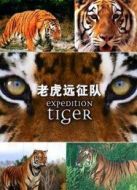 BBC：老虎遠(yuǎn)征隊(duì)劇情介紹(1-3全集)