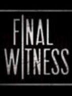 終極目擊者第一季劇情介紹(1-全集)