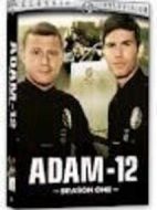 Adam-12劇情介紹(1-全集)