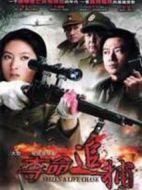 奪命追捕劇情介紹(1-30全集)