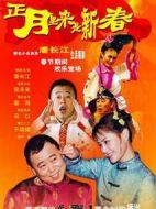 正月里來是新春劇情介紹(1-18全集)