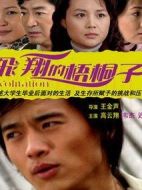 飛翔的梧桐子劇情介紹(1-23全集)