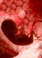 BBC：九月懷胎劇情介紹(1-3全集)