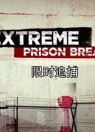 限時(shí)追捕劇情介紹(1-12全集)