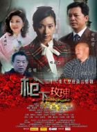 神秘女諜劇情介紹(1-26全集)