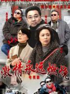 激情永遠(yuǎn)燃燒劇情介紹(1-32全集)