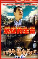 燃燒的生命劇情介紹(1-33全集)