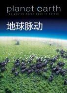 BBC：地球脈動(dòng)劇情介紹(1-11全集)