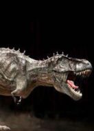 原始恐龍的秘密劇情介紹(1-1全集)