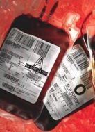 BBC：神奇的血液世界劇情介紹(1-1全集)