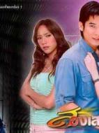 雙生花劇情介紹(1-16全集)