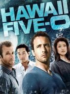 夏威夷特勤組第三季