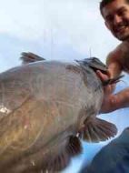 徒手捕魚殊死戰(zhàn)劇情介紹(1-10全集)